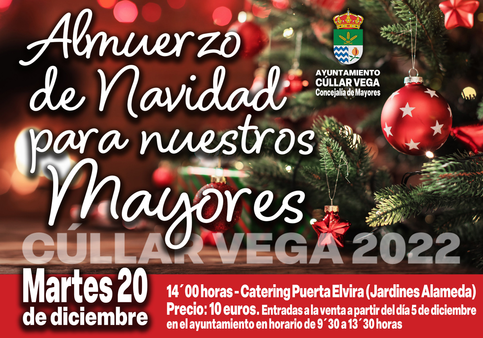 Almuerzo de navidad para nuestros mayores