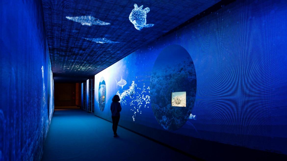 La Comunidad de Madrid muestra en la exposición Somos agua la importancia de este recurso natural para la vida y el medio ambiente