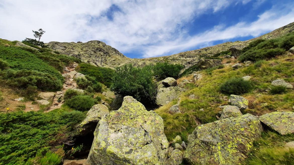 La Comunidad de Madrid reducirá las cargas administrativas para fomentar los aprovechamientos forestales de los montes y favorecer el autoconsumo