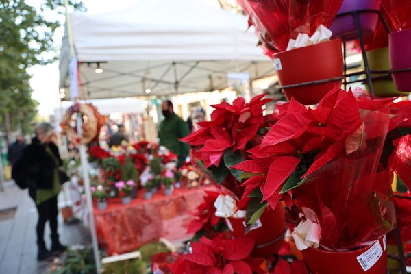 La Fira de Nadal tindrà una trentena de parades, tió per a infants i adults i la visita de l’EcoTruck
