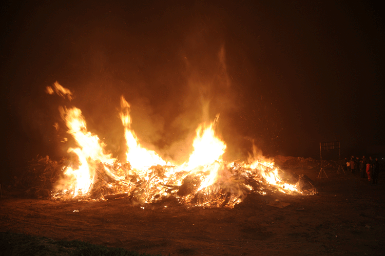 Sástago celebra sus fiestas en honor a San Antón