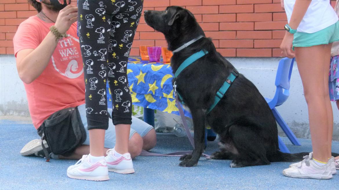La Comunidad de Madrid invierte más de 700.000 euros en el Centro Integral de Acogida de Animales