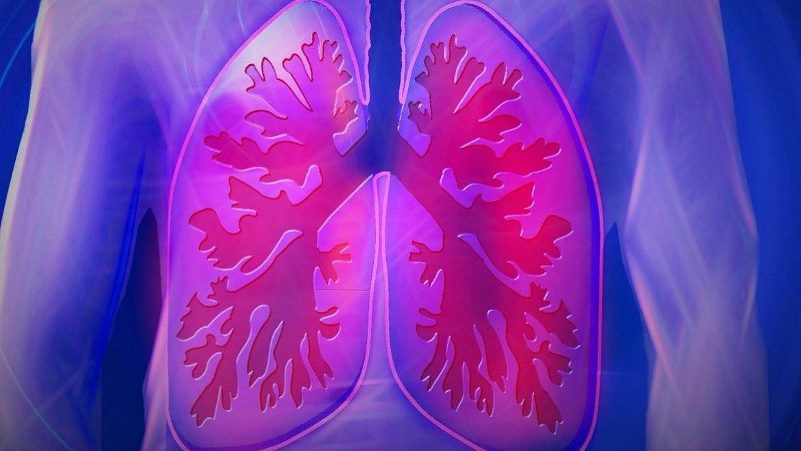 La Unidad de Adultos de Fibrosis Quística del Hospital de La Princesa supera la centena de pacientes en tratamiento