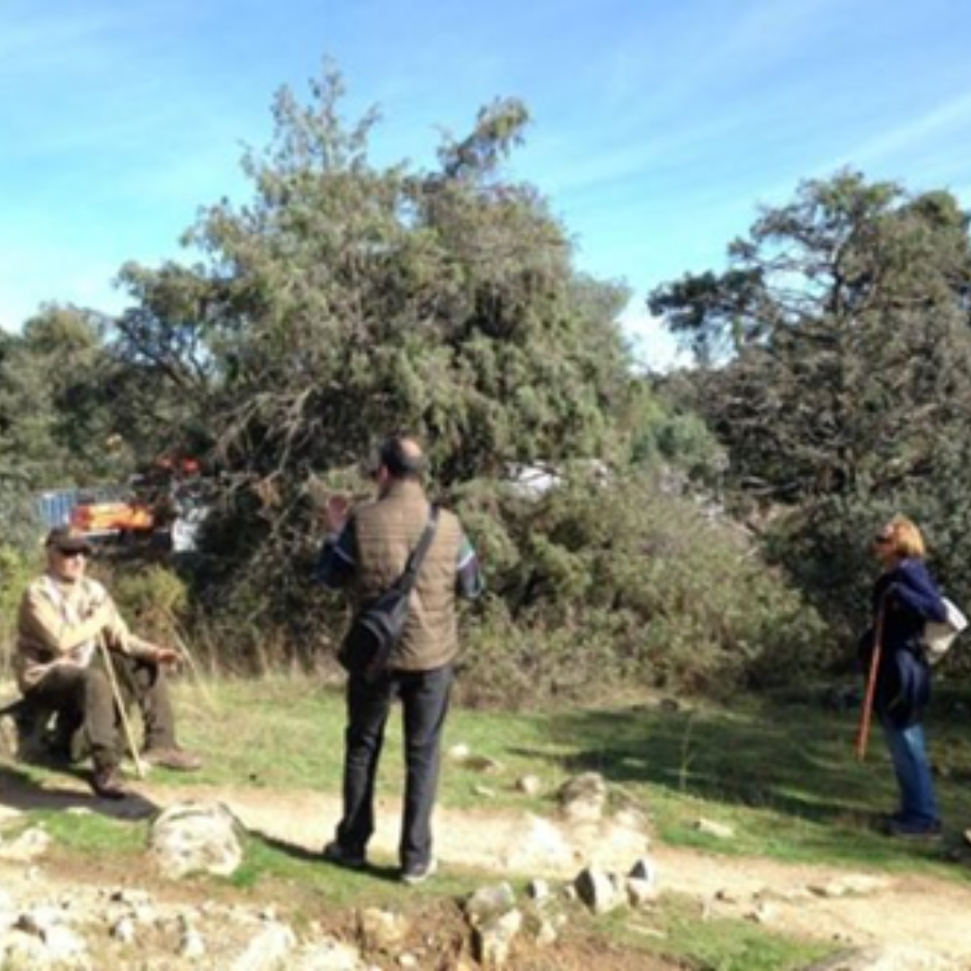Senda para mayores Torrelodones: Presa de Los Peñascales