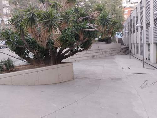 Un entorn del pavelló més verd, accessible i adaptat
