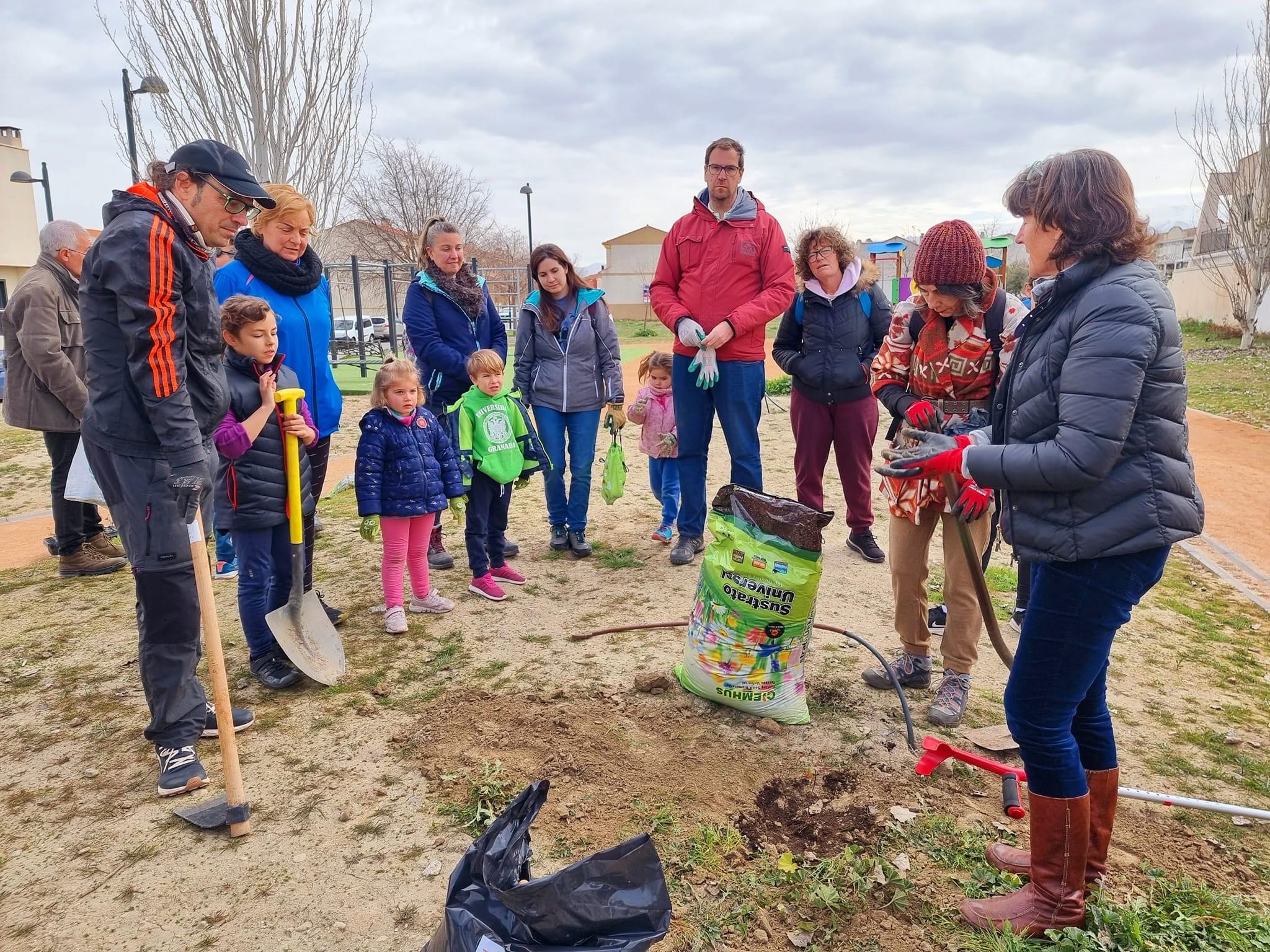 Vecinos de Cúllar Vega plantan medio centenar de árboles en el nuevo parque del Río Cubillas