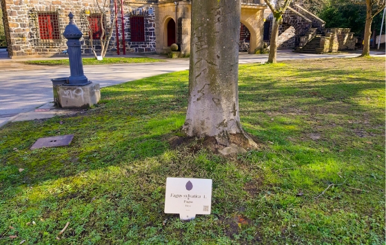 Conoce los árboles del parque de Agirre-Etxeberri