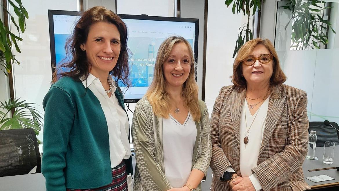 El IRSST participa en la presentación del Estándar de Formación en Prevención de Riesgos Laborales del sector eléctrico