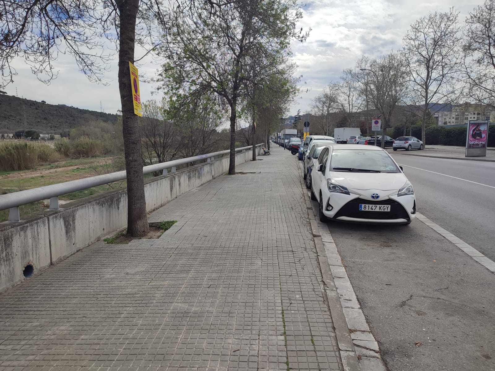 Inici de la segona fase de les obres del passeig fluvial de l’avinguda de la Ribera