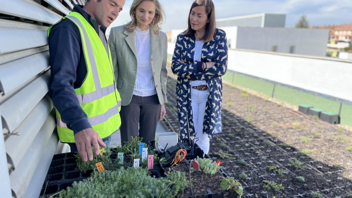 La Comunidad de Madrid instala en Arroyomolinos los primeros tejados ecológicos en viviendas sociales para reducir un 10% su consumo energético
