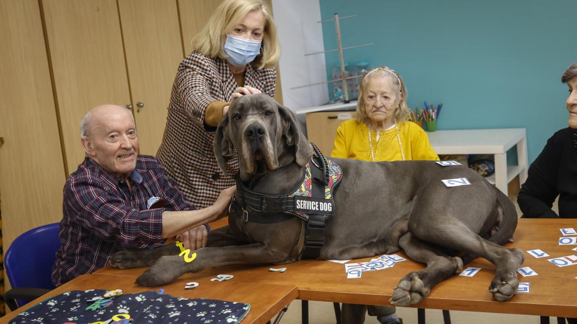 Más de 40 residencias de mayores de la Comunidad de Madrid ofrecen terapias asistidas con animales