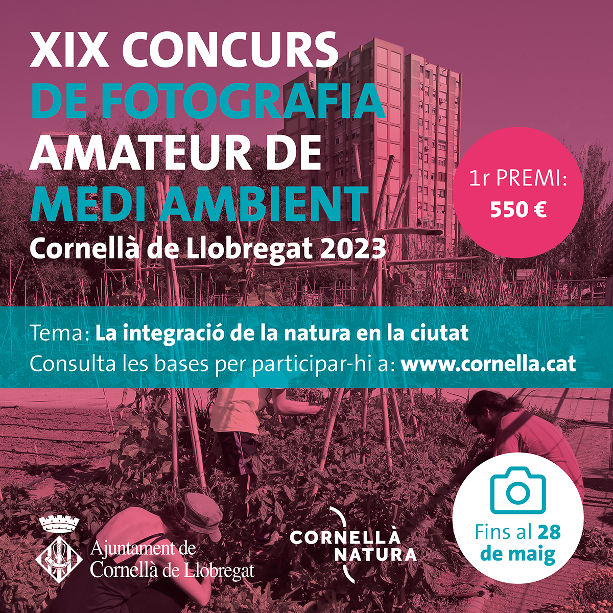 Nueva edición del Concurso de Fotografía de Medio Ambiente para mostrar la integración de la naturaleza en la ciudad