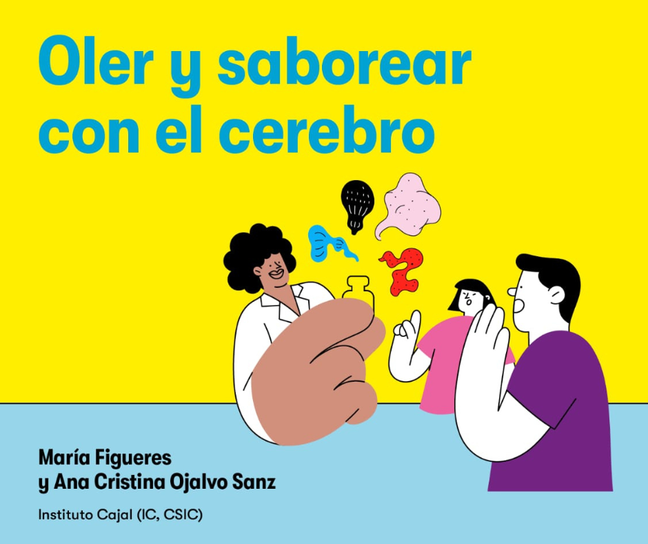 Taller: 'Oler y saborear con el cerebro'