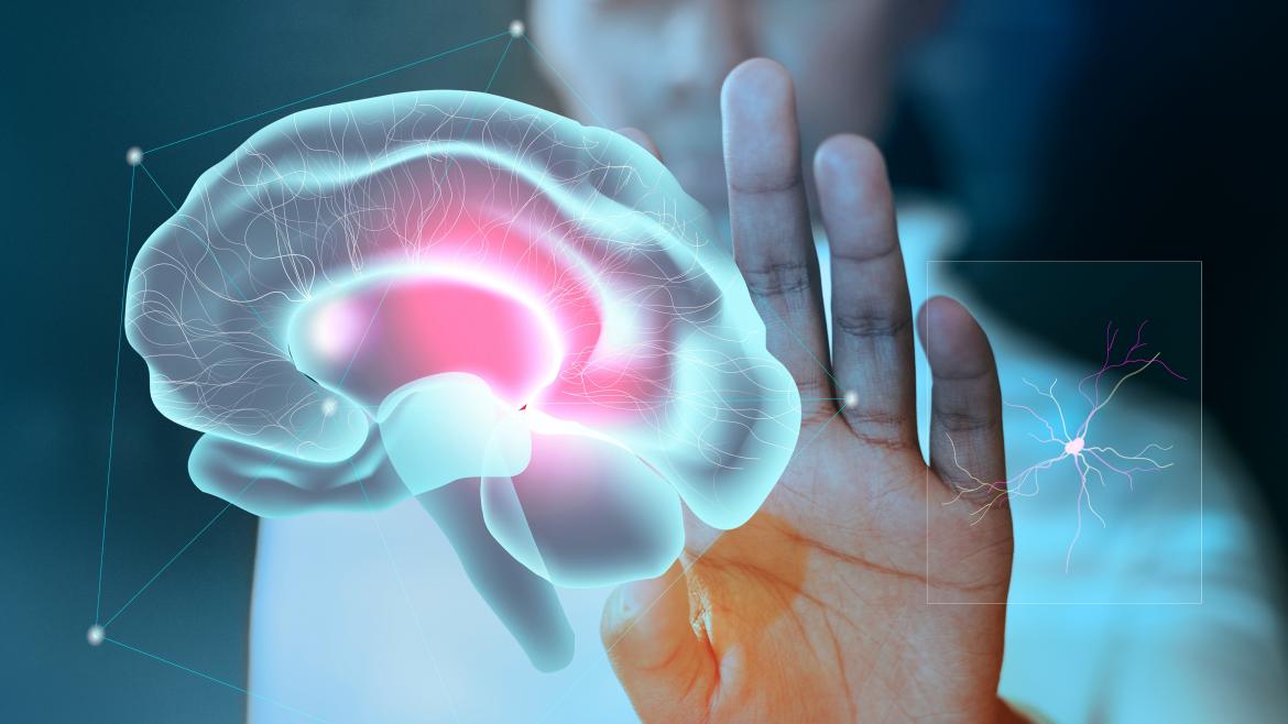 El Hospital de La Princesa mantiene en seguimiento a 4.000 pacientes de Parkinson