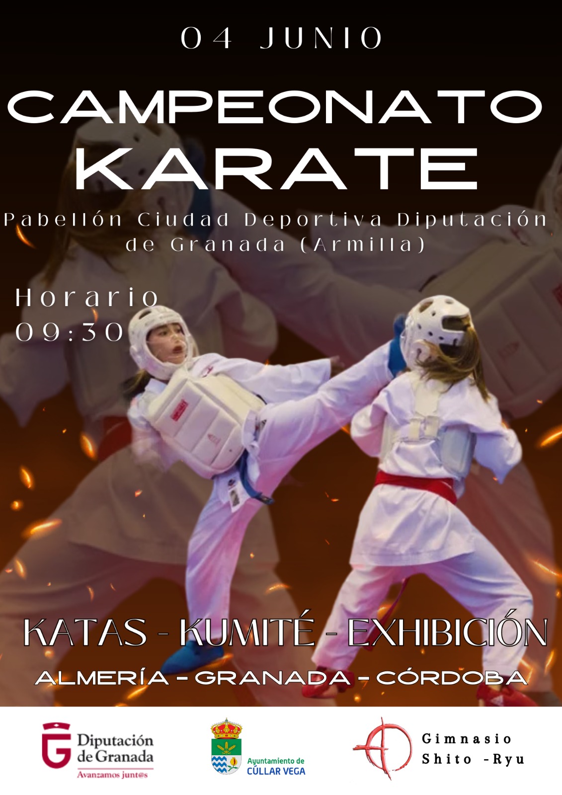 Campeonato de Karate