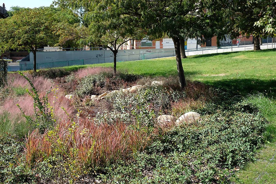 Parques de la ciudad: naturaleza y salud