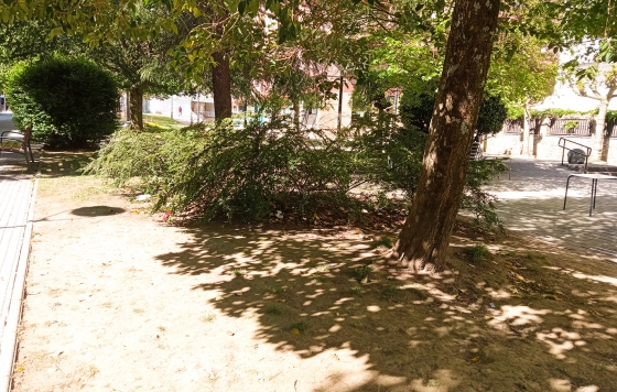 Renovación de las zonas verdes de Plazaola kalea