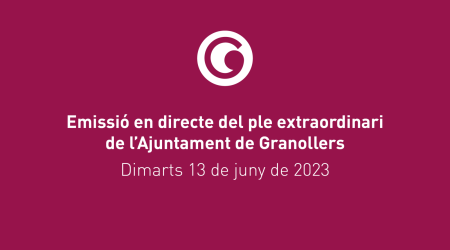 Dimarts 13 de juny, Ple extraordinari