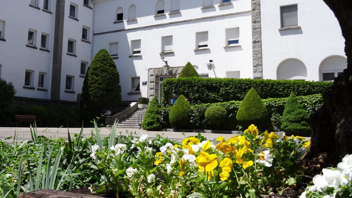 El Hospital de Guadarrama celebra el Día Mundial del Medio Ambiente con pacientes y vecinos del municipio