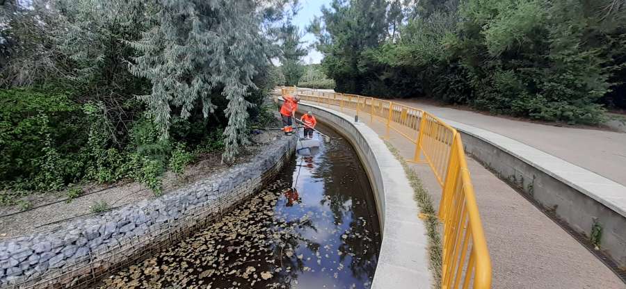 Buidatge del canal del parc de la Llacuna per treure la fauna invasora que s’hi ha instal·lat