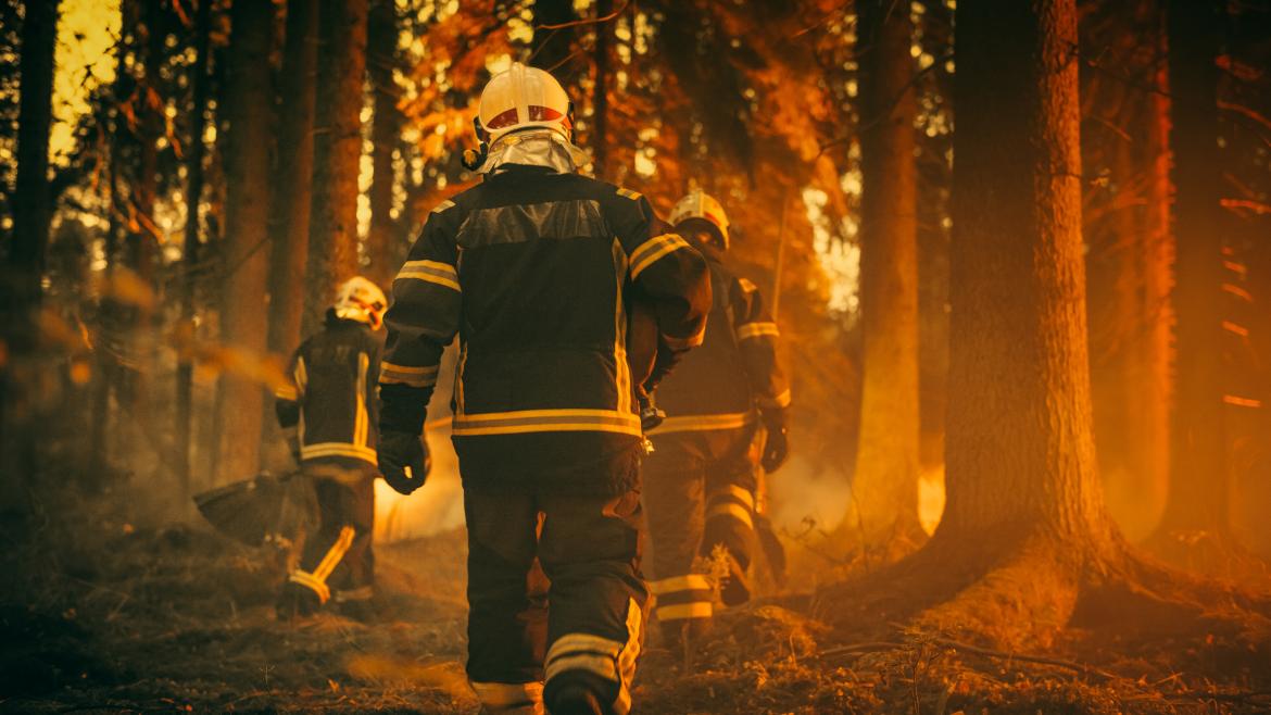 La Comunidad de Madrid se persona en los tribunales por el incendio forestal de Castellón del pasado marzo