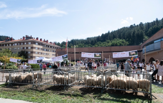Gipuzkoako Artzain eguna 2023