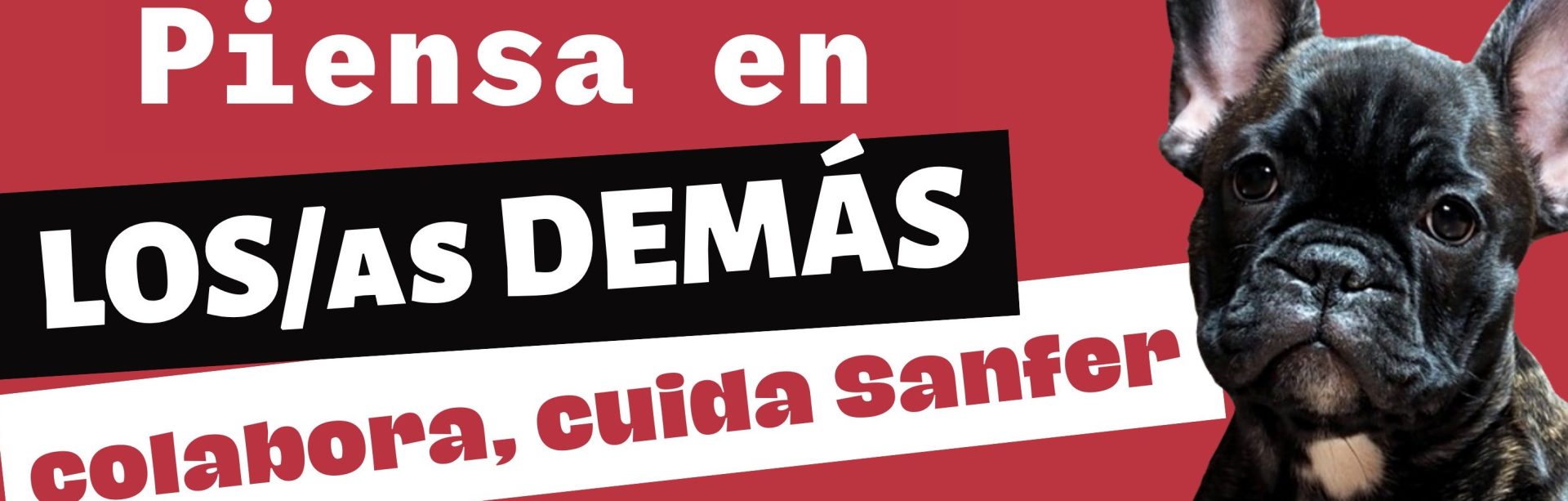Nueva campaña para sensibilizar sobre la importancia de recoger excrementos y orines caninos
