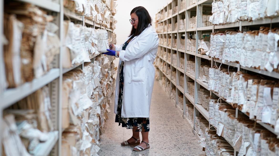 La Comunidad de Madrid custodia alrededor de 23.000 metros lineales de documentos en el Archivo Judicial Territorial