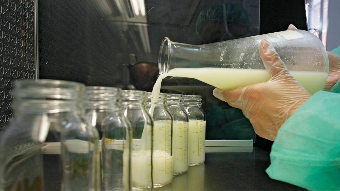 El Hospital Príncipe de Asturias organiza el VII Encuentro de Donantes y Receptores de Leche Materna