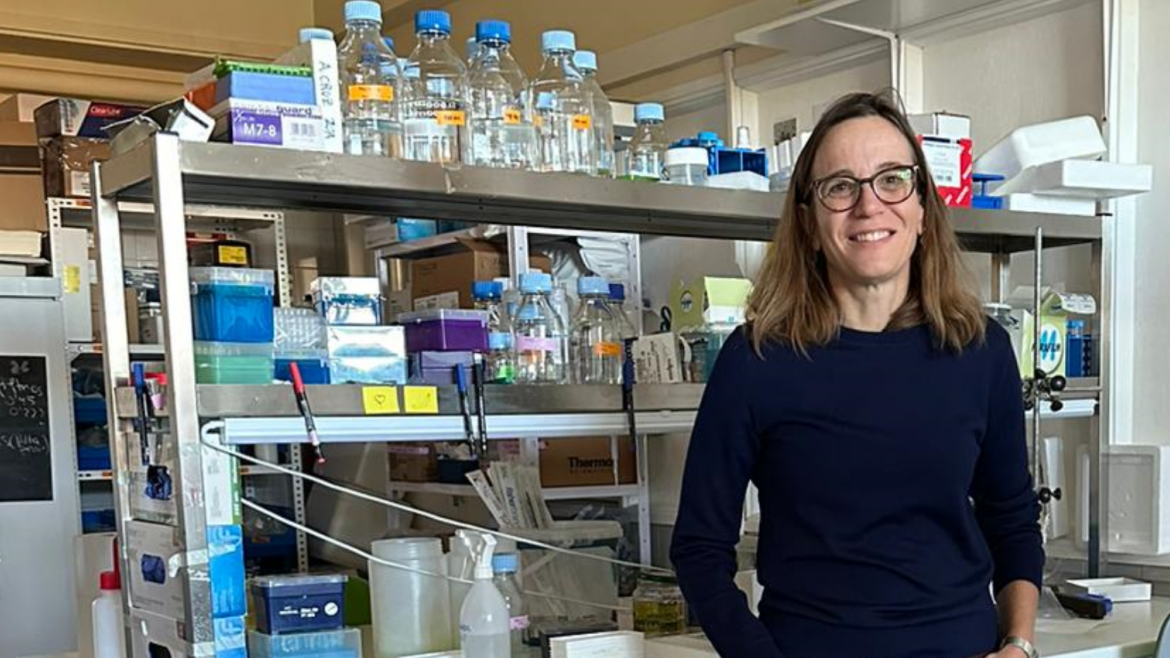 Una investigación liderada por el Hospital 12 de Octubre y la Universidad Complutense demuestra que una terapia combinada resulta eficaz en el tratamiento del linfoma B agresivo