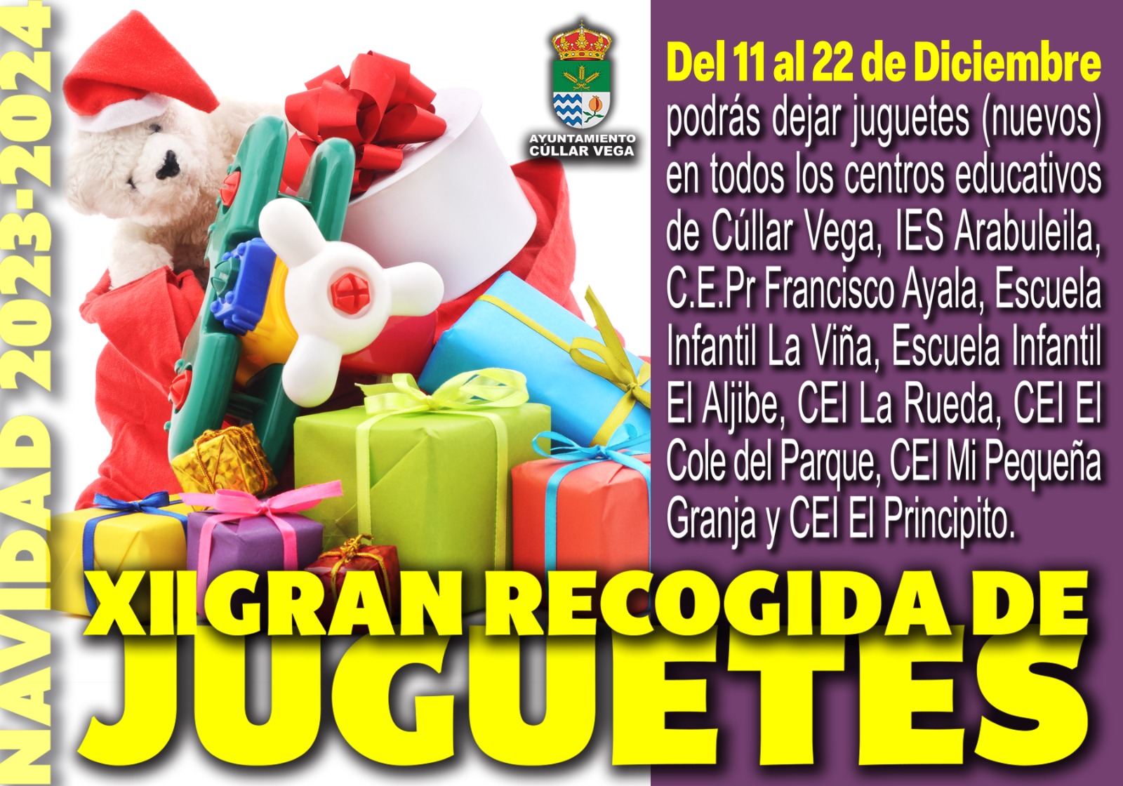 XII Gran recogida de Juguetes