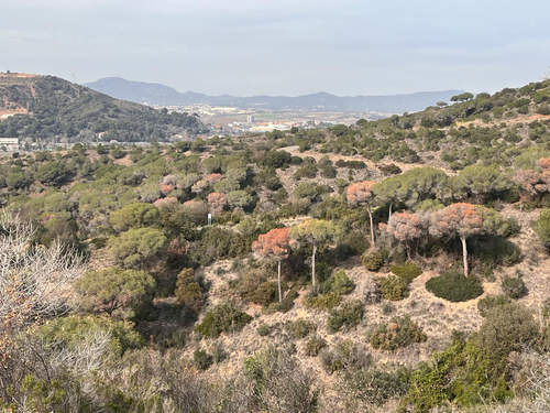 Ajuntament de Santa Coloma de Gramenet
