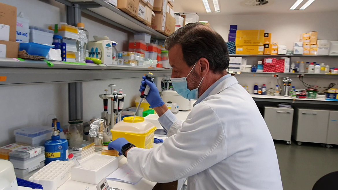 El Hospital 12 de Octubre y el CNIO prueban que una nueva inmunoterapia de células puñal muestra en laboratorio más efectividad que la CAR-T frente al mieloma múltiple