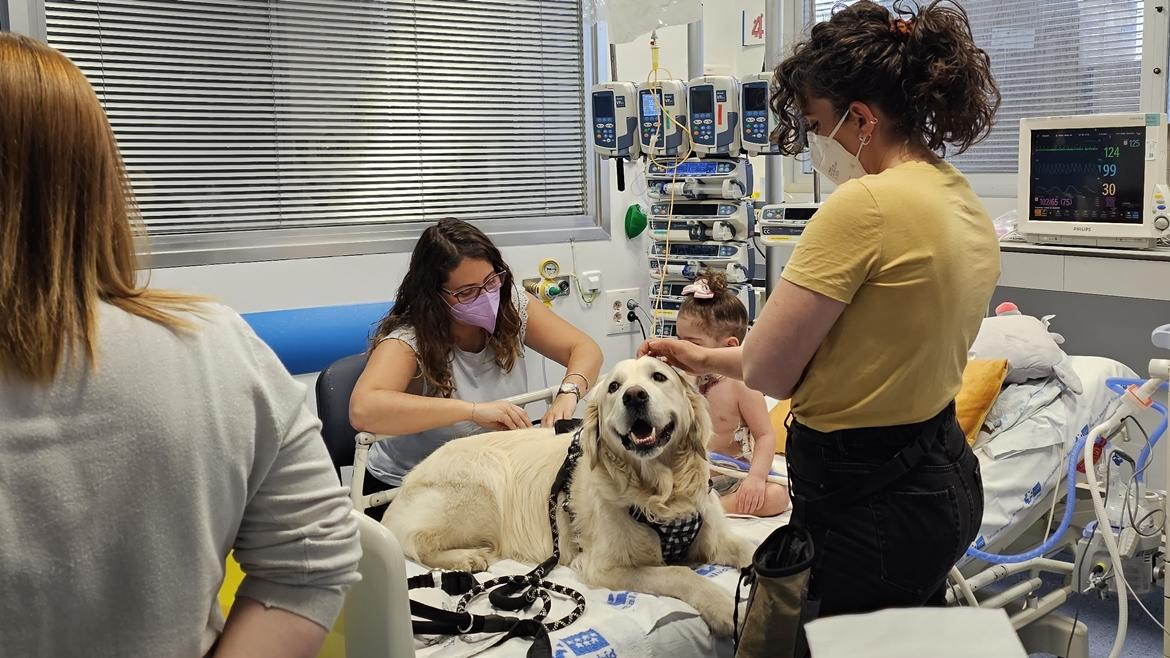 Un estudio confirma que la terapia con perros reduce el dolor y la ansiedad en niños ingresados en Cuidados Intensivos del Hospital 12 de Octubre