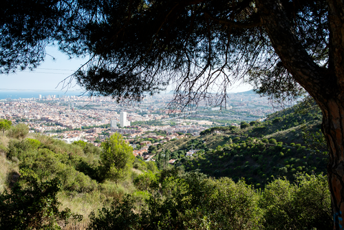 Ajuntament de Santa Coloma de Gramenet