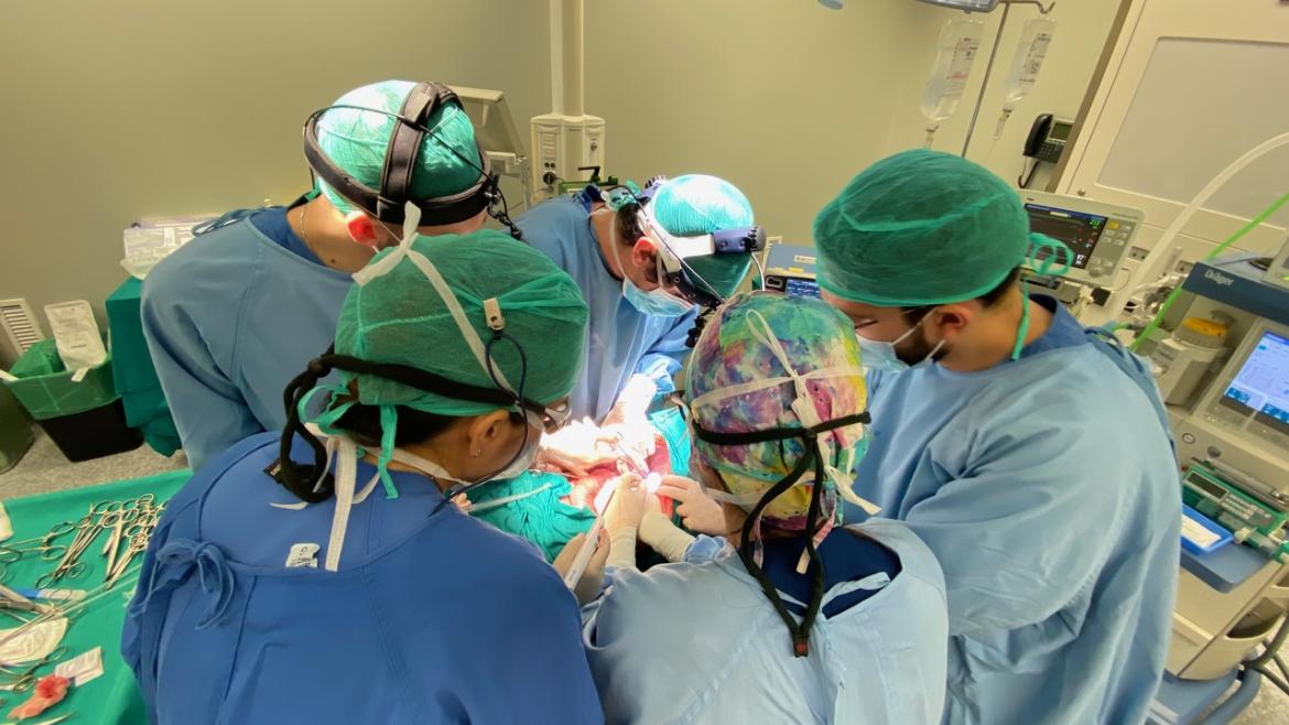 El Hospital Puerta de Hierro forma a profesionales MIR acerca de la partición hepática previa al trasplante