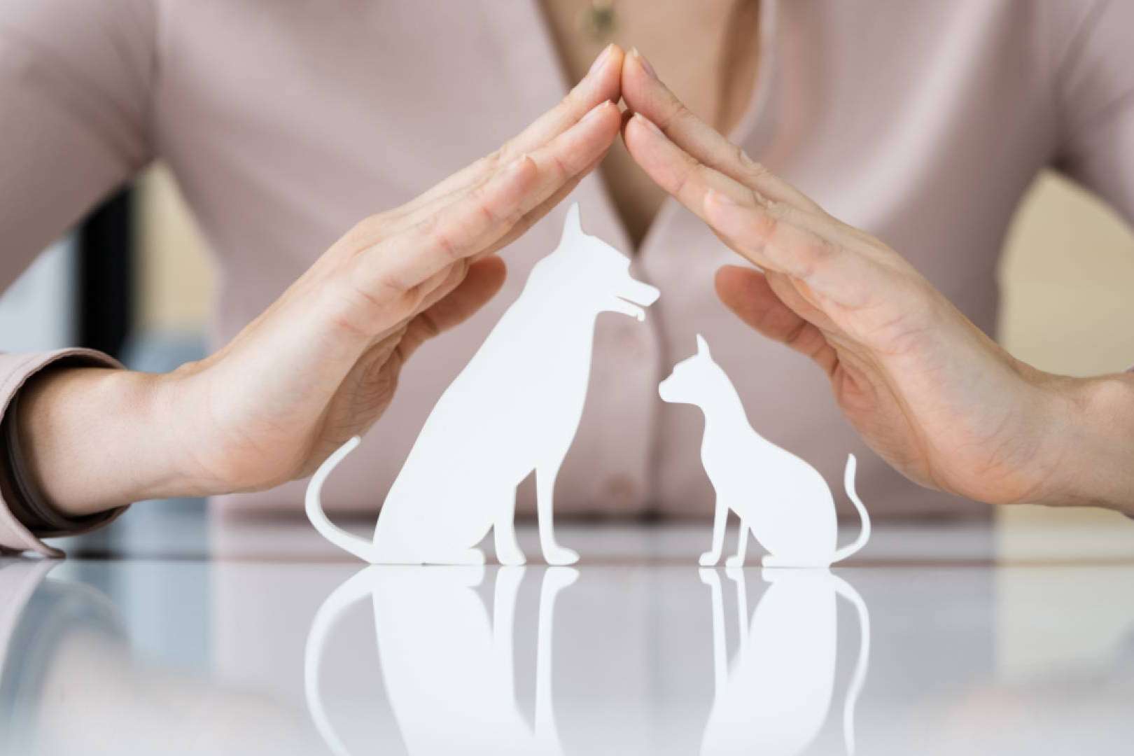 Seguros personalizables para mascotas disponibles en Ucoga