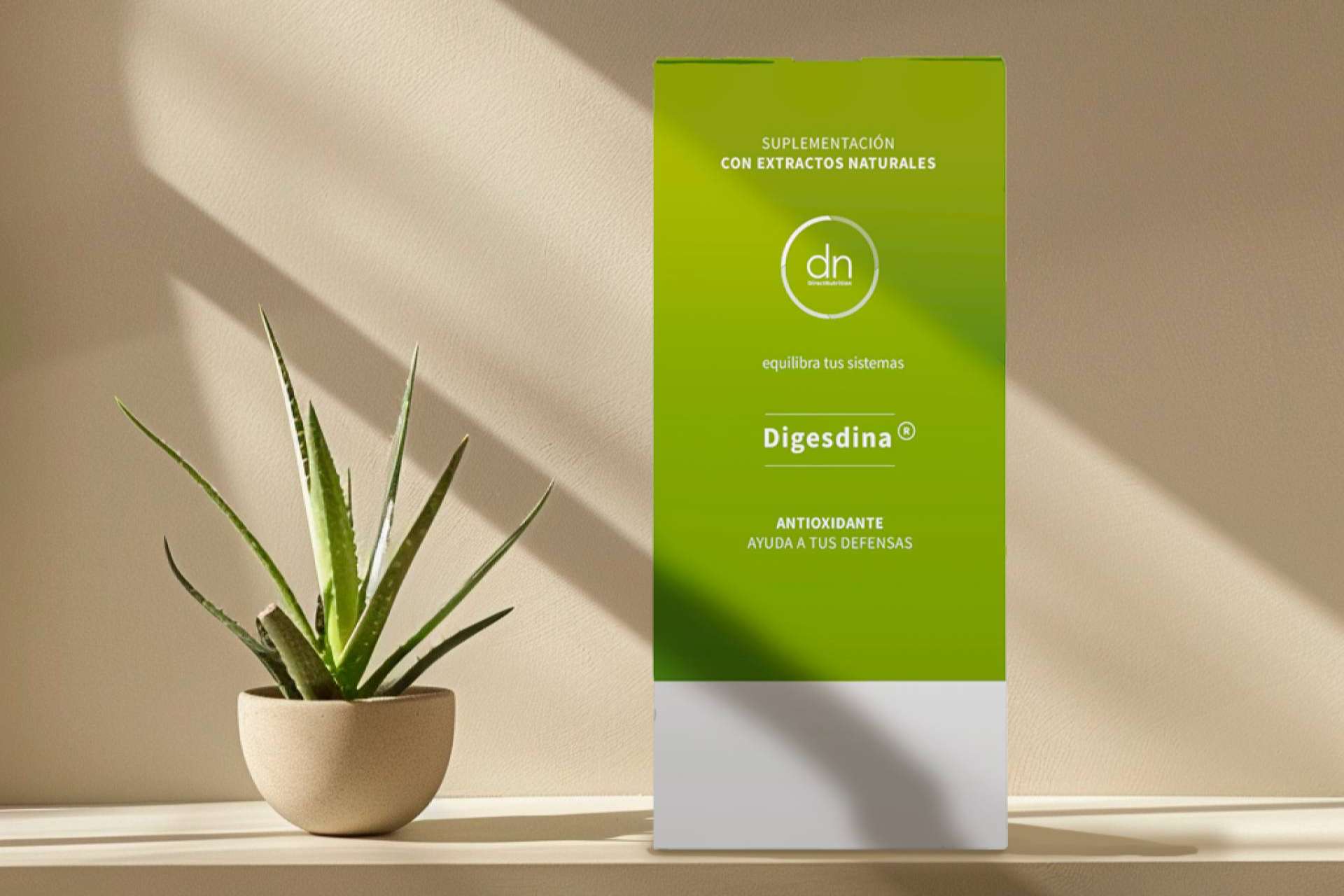 ¿Cuáles son los beneficios de la digesdina para la salud del sistema digestivo?, por Direct Nutrition