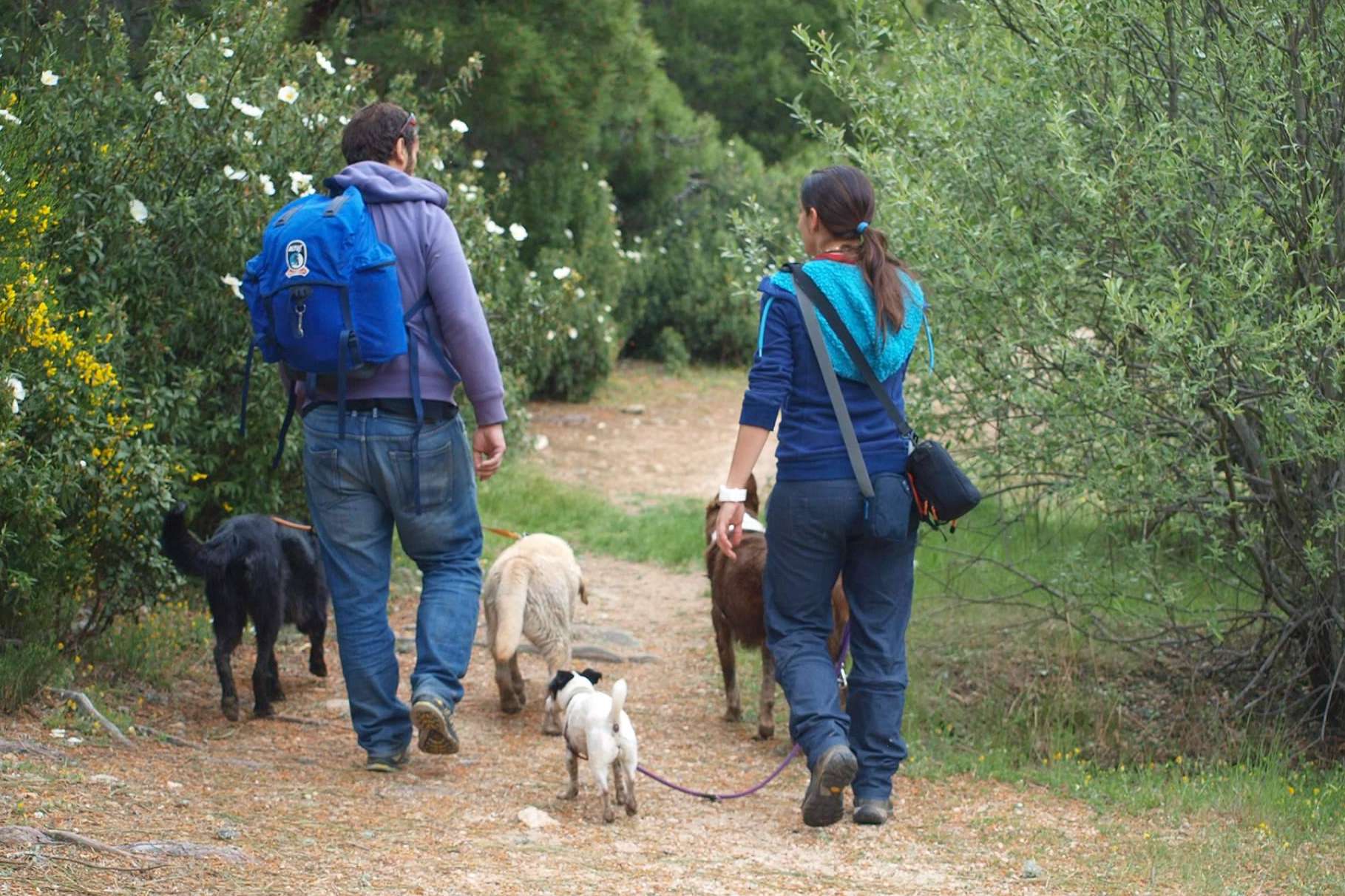 En 'ParaMascotas' creen que el peludo merece ser el más feliz del mundo