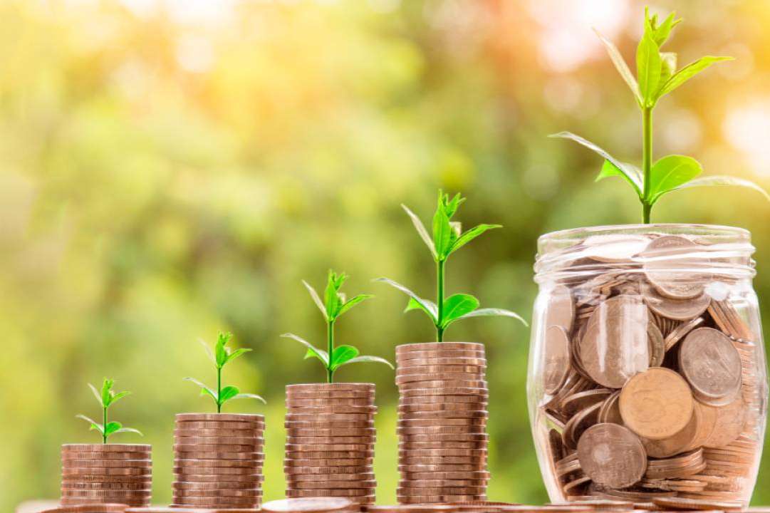La biomasa se consolida como una solución eficiente y sostenible frente al cambio climático