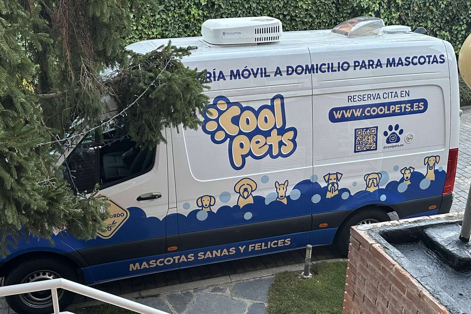 Llega a España un innovador servicio de peluquería móvil a domicilio para mascotas