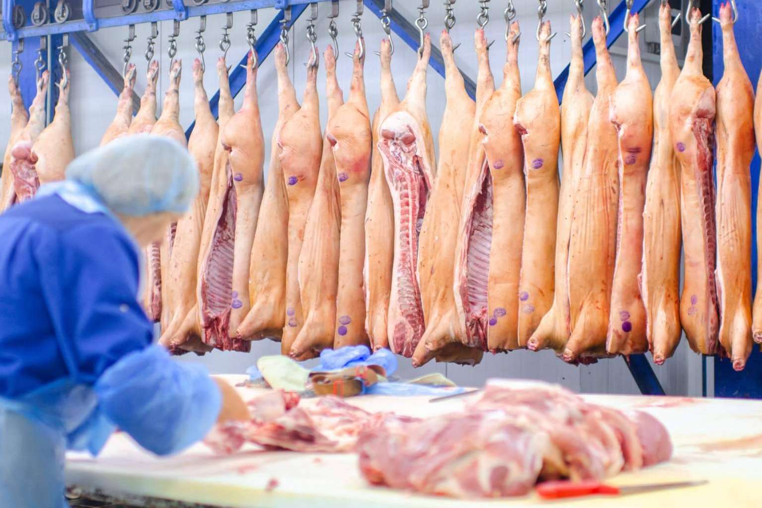 ERP específico para la Industria Cárnica