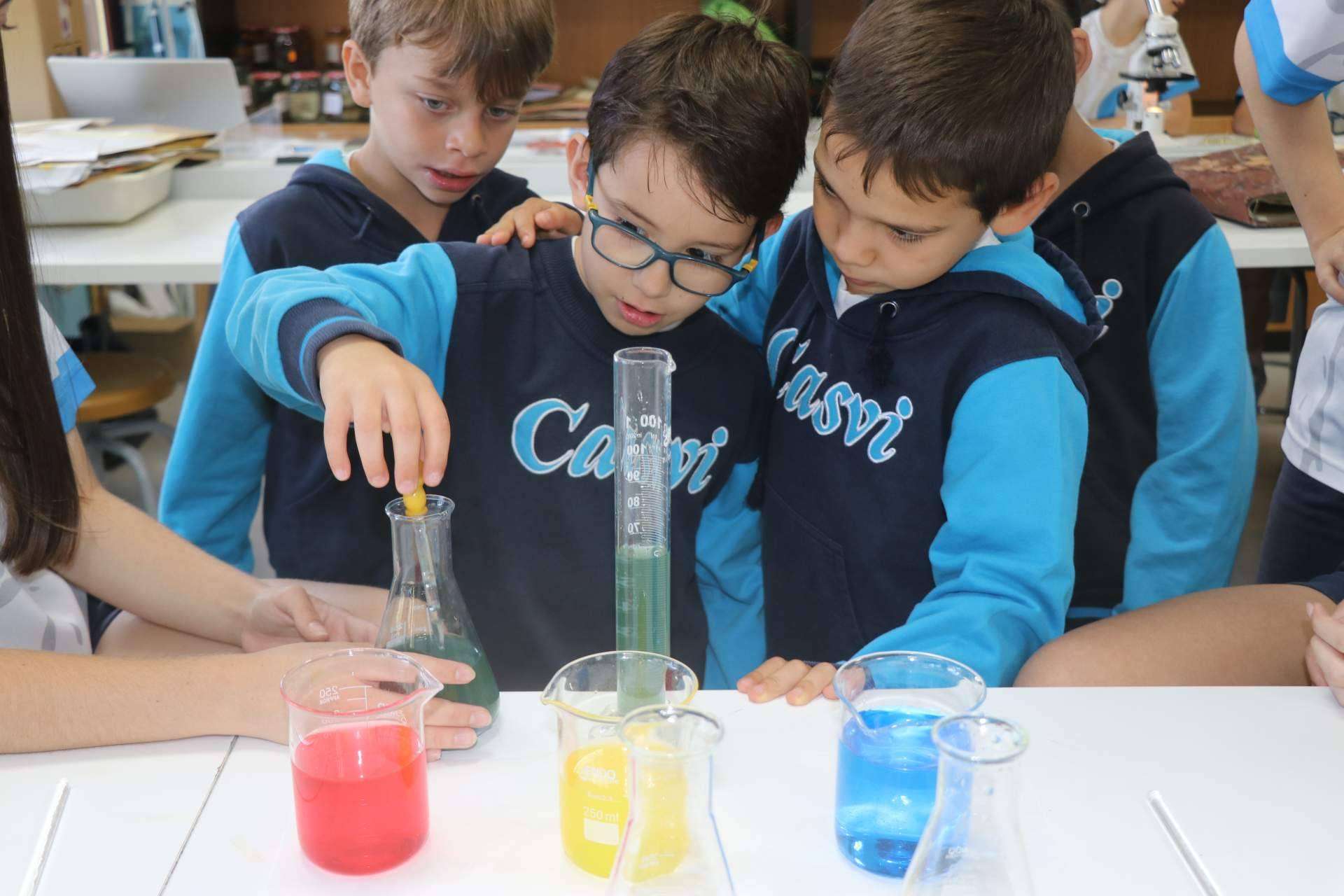El impacto del aprendizaje basado en la curiosidad de la metodología IB