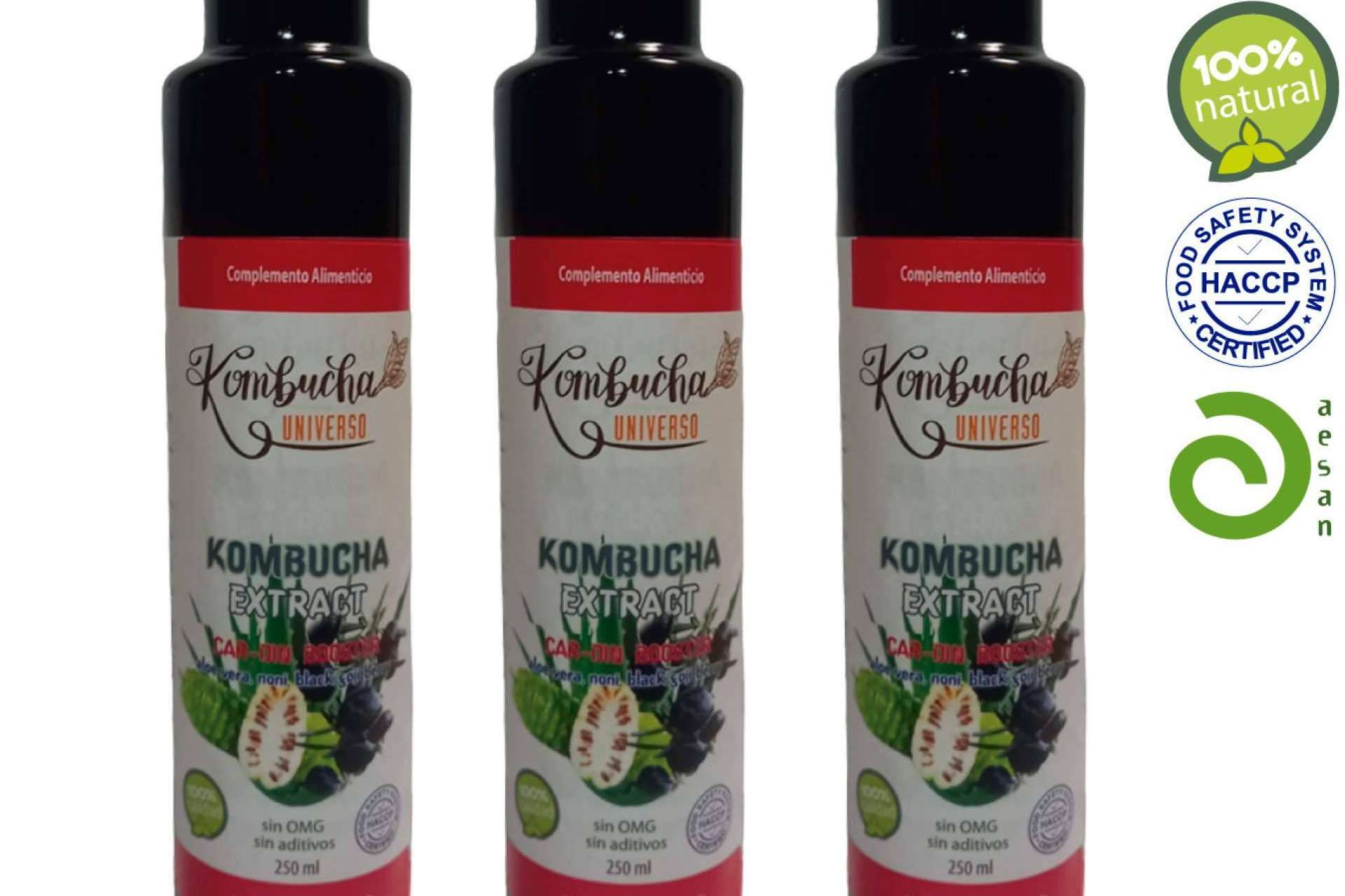 Kombucha Universo, la bebida natural para desintoxicar el organismo y mejorar la salud y el bienestar