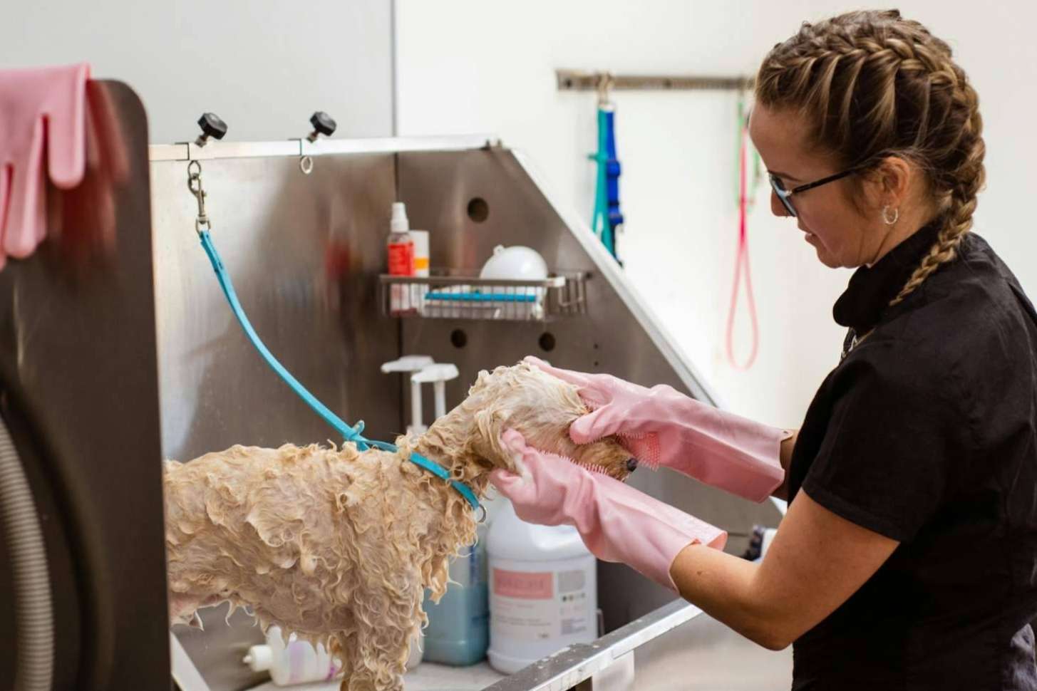 Software completo para negocios de mascotas; cumple con la ley y gana tiempo