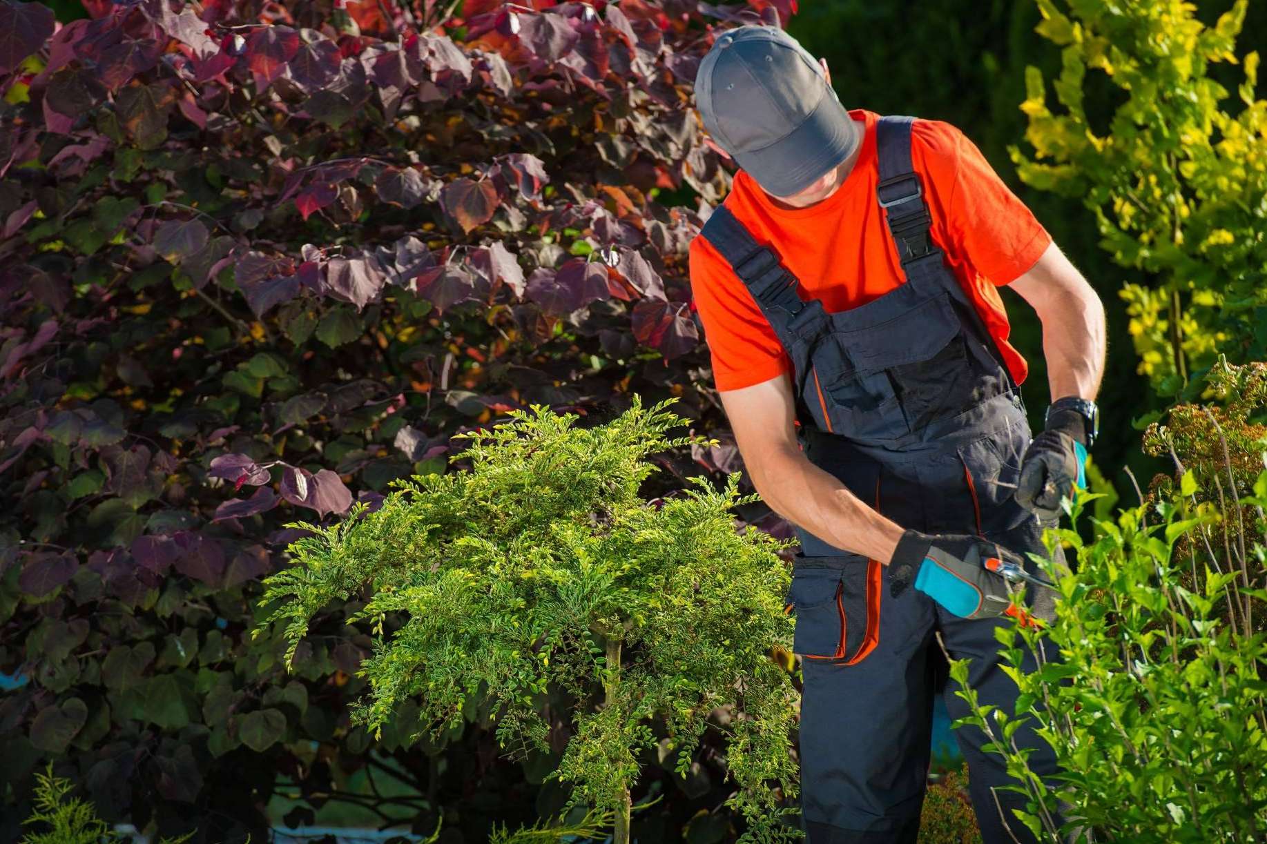 Innovación y excelencia en jardinería para una Barcelona más verde