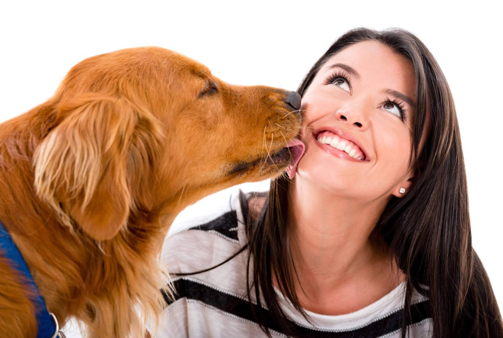 Vacaciones sin preocupaciones; disfrutar del descanso dejando a las mascotas en buenas manos