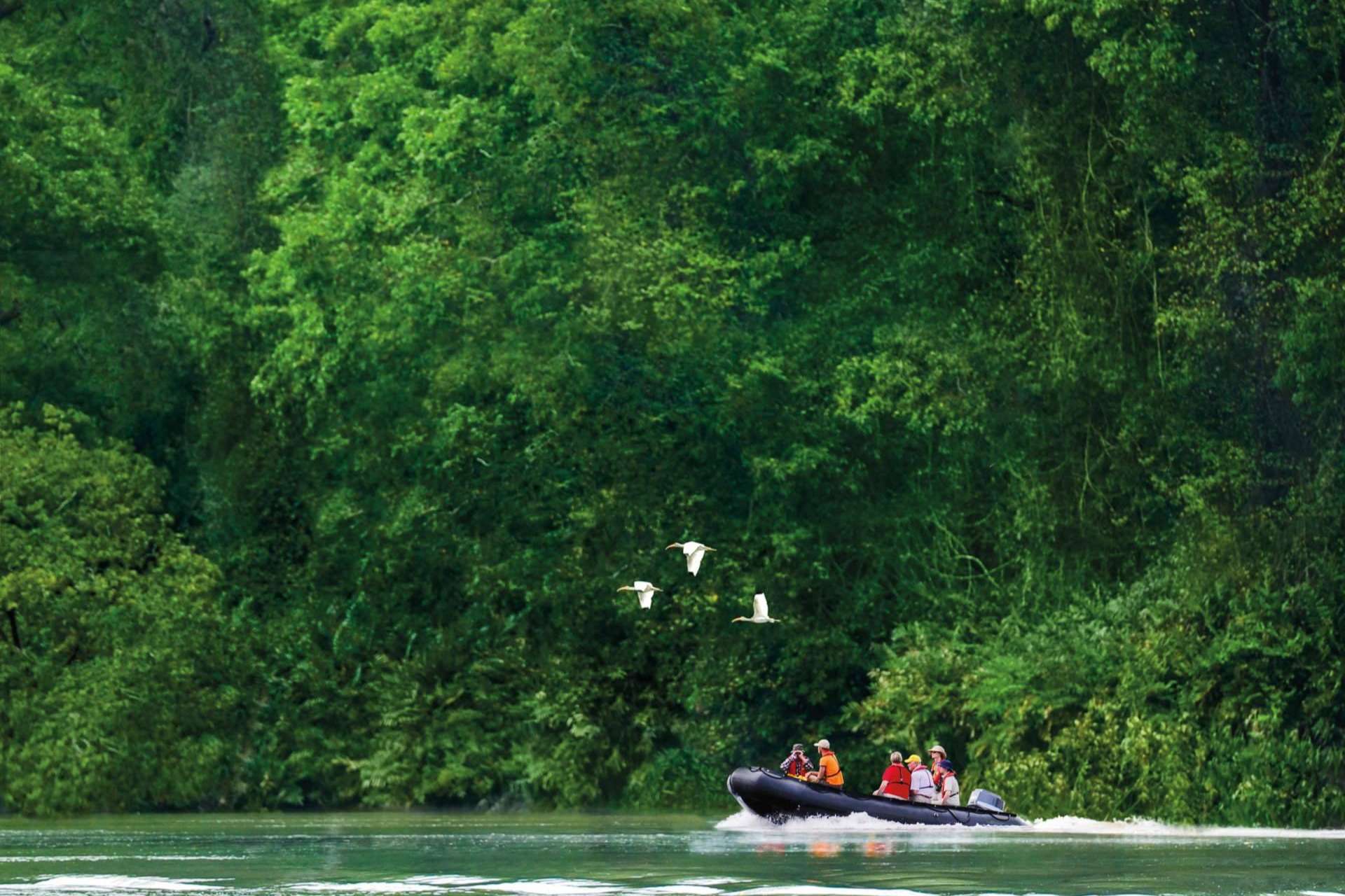 Hapag-Lloyd Cruises; Grandes viajes de expedición por el Amazonas y la Antártida