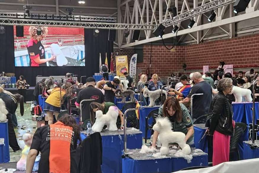 El mejor estilismo canino del mundo llega a Murcia en octubre