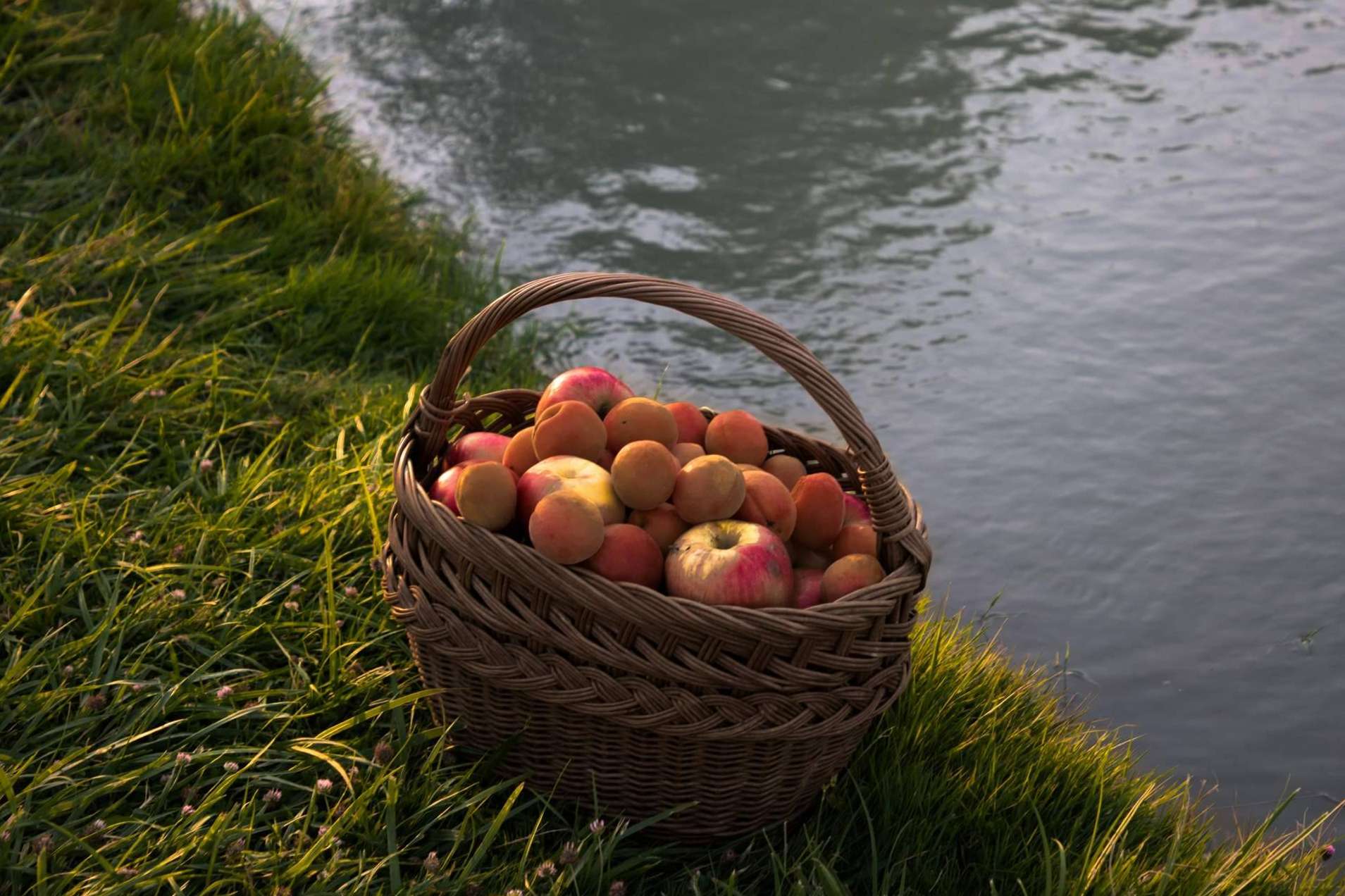 9 trucos para mantener hábitos saludables en verano